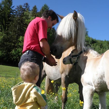 Ferienhaus "Zur Alten Schmiede" Mariahof Exteriör bild