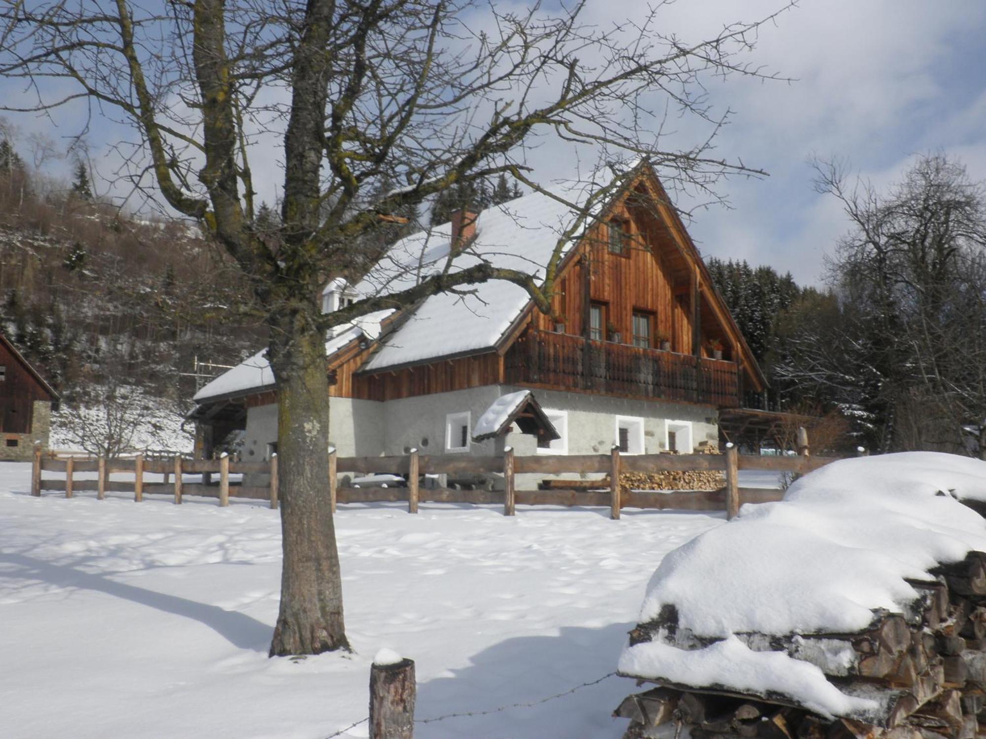Ferienhaus "Zur Alten Schmiede" Mariahof Exteriör bild
